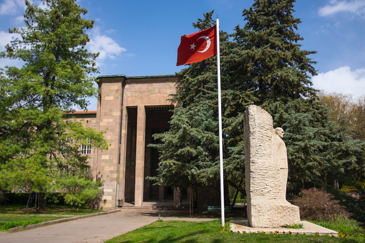 Turkish University Counseling