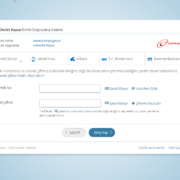 Turkey Basics 101: How to Easily Register for e-Devlet 