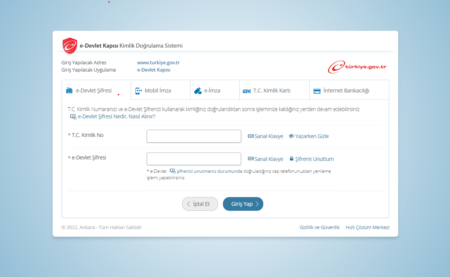 Turkey Basics 101: How to Easily Register for e-Devlet 